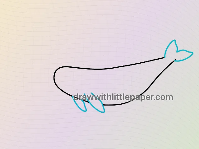 Narwhal, selected drawing stage 3 of 5, with source guide lines