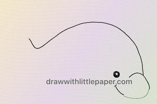 Dolphin, selected drawing stage 2 of 6, with source guide lines