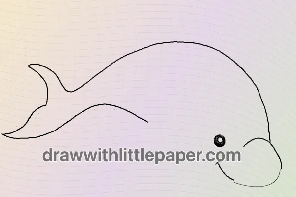 Dolphin, selected drawing stage 4 of 6, with source guide lines