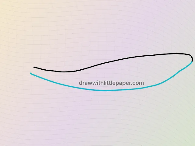 Baleine bleue, étape de dessin sélectionnée 2 sur 5, avec lignes directrices source