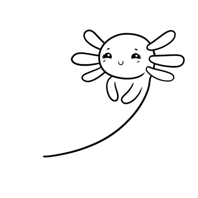 Axolotl outline with three gill branches on each side, small arms and a developing curved body and tail