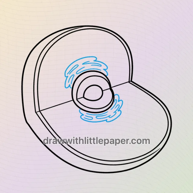 Animal cell diagram, selected drawing stage 3 of 9, with source guide lines