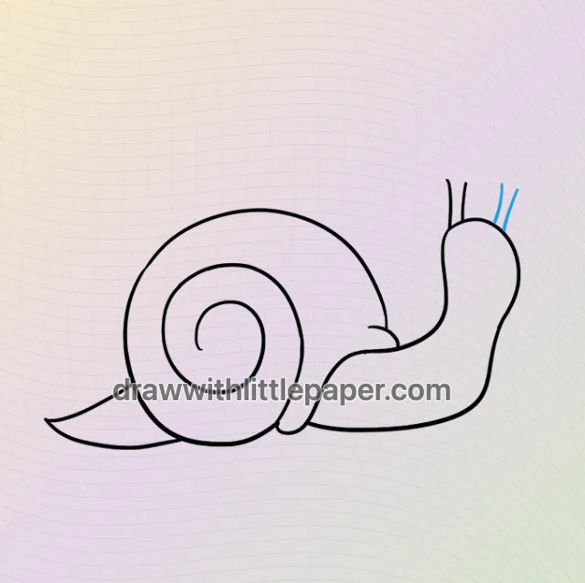 Schnecke, ausgewählte Zeichnungsphase 6 von 9, mit Quellhilfslinien