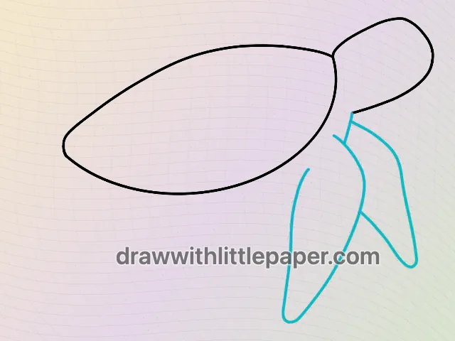 Sea turtle, selected drawing stage 3 of 5, with source guide lines
