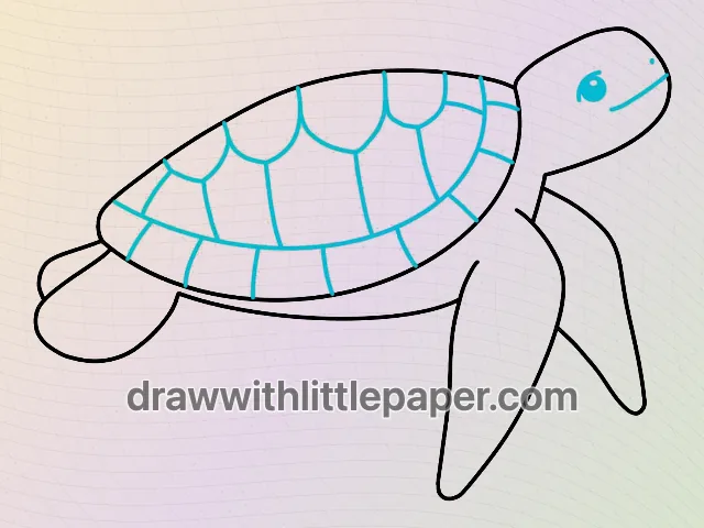 Complete sea turtle outline showing shell sections and flipper directions
