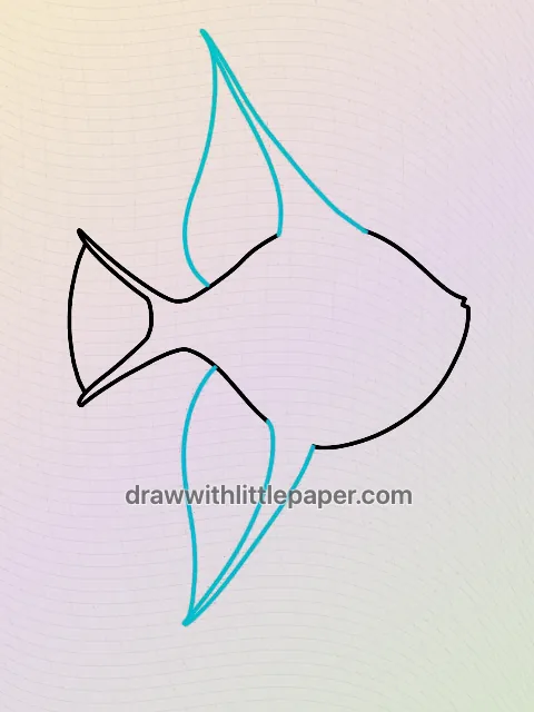 Angelfish, selected drawing stage 3 of 5, with source guide lines