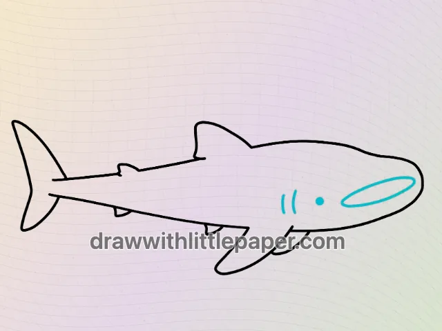Contour complet du requin baleine avec bouche ovale, petit œil et courtes marques branchiales