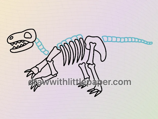 Complete dinosaur skeleton outline showing rib spacing and a long spine