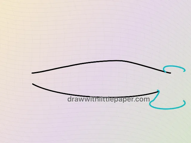 Requin marteau vu de dessus, dessin sélectionné étape 2 sur 5, avec lignes directrices source