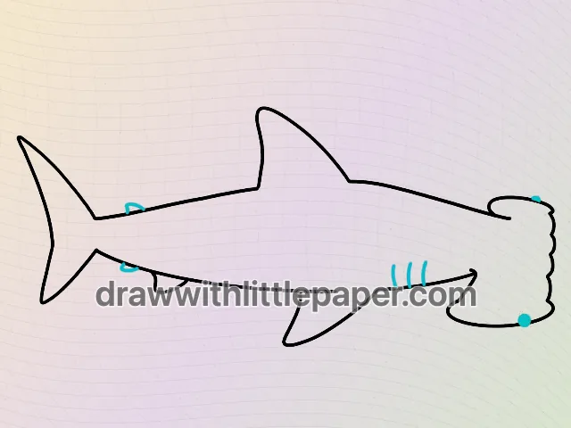 Aperçu complet du requin marteau, vue de dessus, montrant une tête large et une base de queue étroite