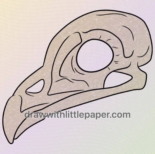Colored bird skull with cream white crayon texture